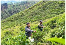 वडाध्यक्षको एउटा जुक्तिले बदलियो गाउँको परिचय