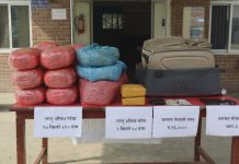 १७ किलो गाँजा र २ किलाे चरेशसहित तीन जना पक्राउ