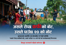 ‘जसले रोप्छ कफीको बोट, उसले पाउँछ रु २० को नोट’