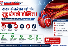 खराब कोलेस्टेरोल बढ्दै जाँदा मुटु रोगको जोखिम, चिकित्सकले भने– जीवनशैली सुधार्नैपर्छ