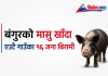 बंगुरको मासु खाँदा १६ जना बिरामी, अस्पतालमा उपचार हुँदै