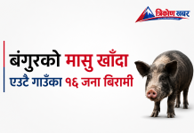 बंगुरको मासु खाँदा १६ जना बिरामी, अस्पतालमा उपचार हुँदै
