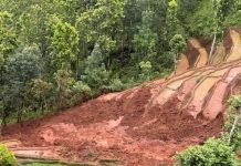 रोपाइँ गरिरहेका बेला खेतमा पहिरो, नुवाकोटमा ६ किसान घाइते; एकको अवस्था गम्भीर