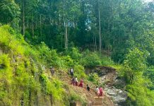 श्रमदानको संस्कार जोगाउँदै: नीलकण्ठ–८ मा योजना बिना नै पैदलमार्ग सरसफाइ अभियान