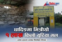 धादिङमा भित्रीयाे १ लाख किलाे युरिया मल, ३लाख ३४हजार ७सय ५० किलाेग्राम मौज्दात