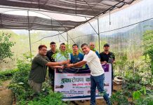 ‘एक लायन, एक बिरुवा’ अभियानः आफ्नै घरबाट वातावरण संरक्षणको सुरुवात